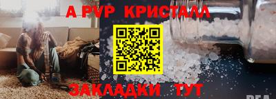 apvp Кингисепп