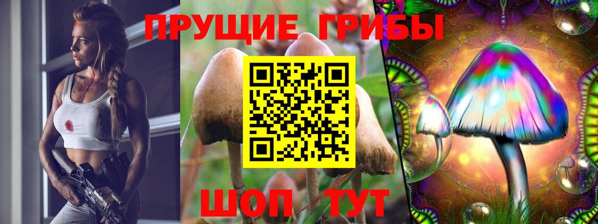 Шахты  Галлюциногенные грибы MAGIC MUSHROOMS  Вход с VPN  Галлюциногенные грибы Magic Shrooms 